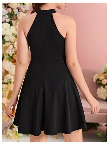 Girl's Halter Neck Sleeveless Mesh A Line Flared Flowy Elegant Short Party Dress